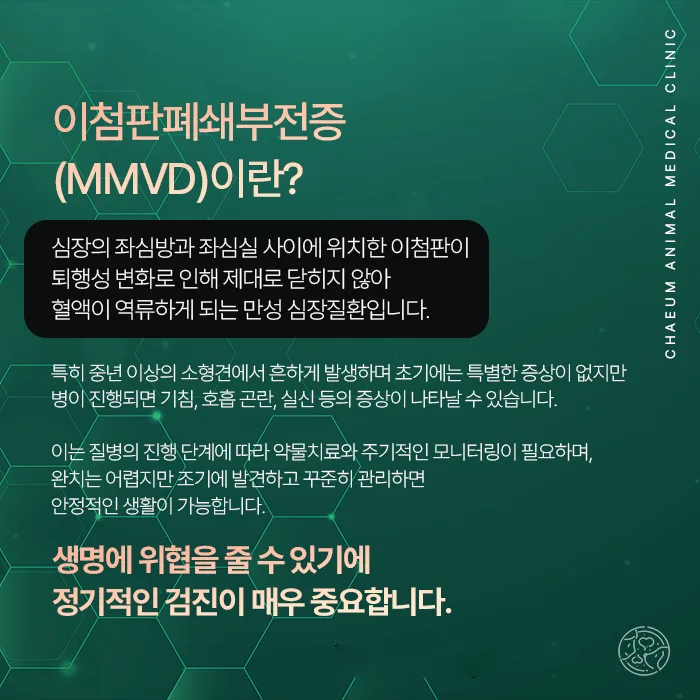 이첨판폐쇄부전증(MMVD) 안내