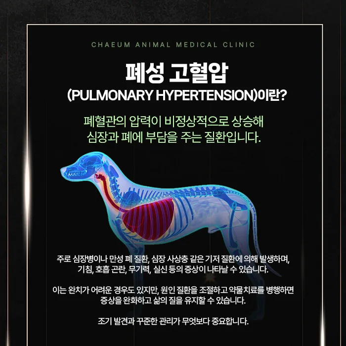 폐성 고혈압 안내
