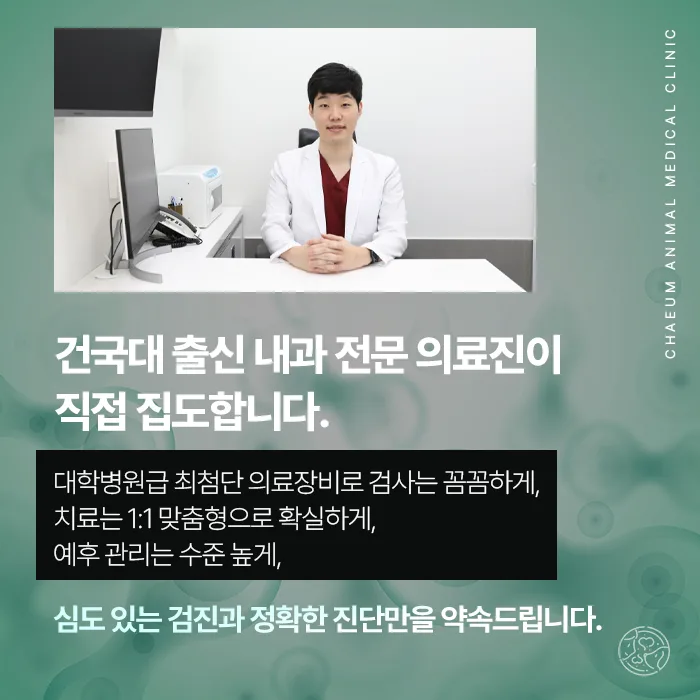 건국대 출신 내과 전문 의료진 안내