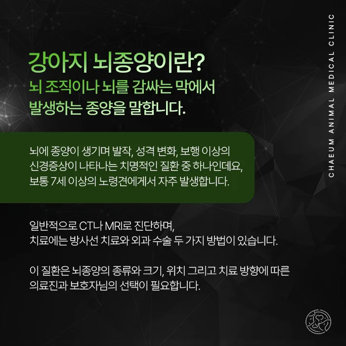 강아지 뇌종양 안내
