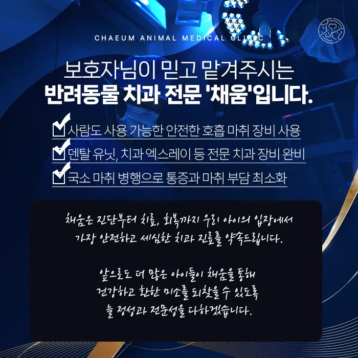 반려동물 치과 전문 채움 안내