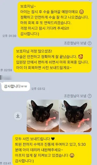 치료 후 보호자에게 회복 상황을 전한 메시지