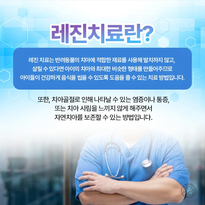 레진 치료 안내