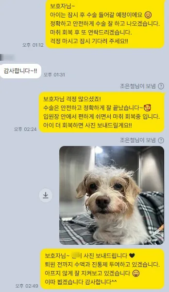 치료 후 보호자에게 회복 상황을 전한 메시지