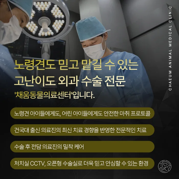 고난이도 외과 수술 전문 채움동물의료센터 안내