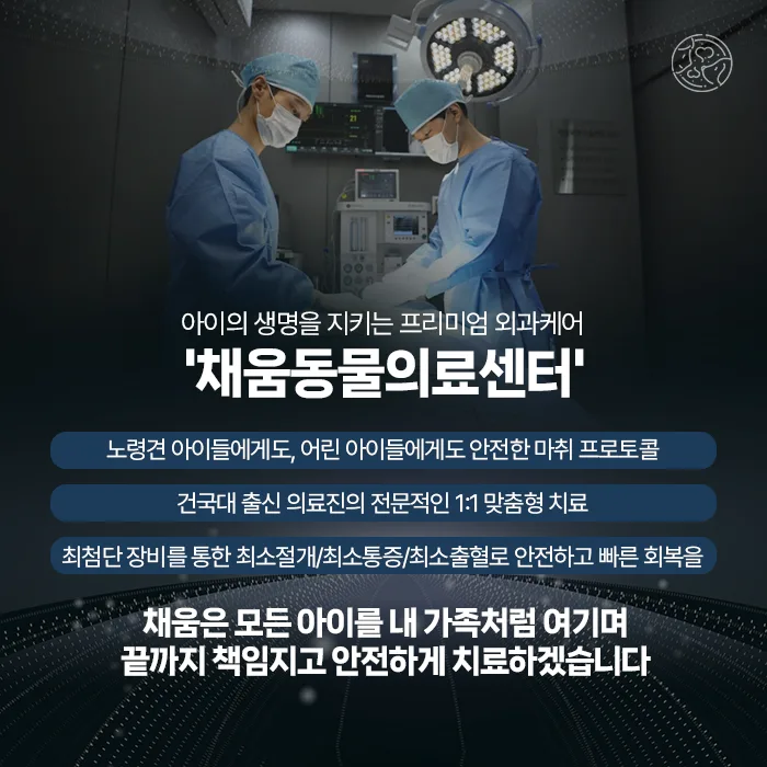 프리미엄 외과 케어 채움동물의료센터 안내