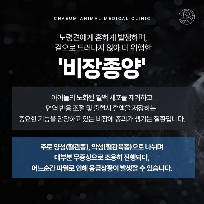 강아지 비장종양 안내
