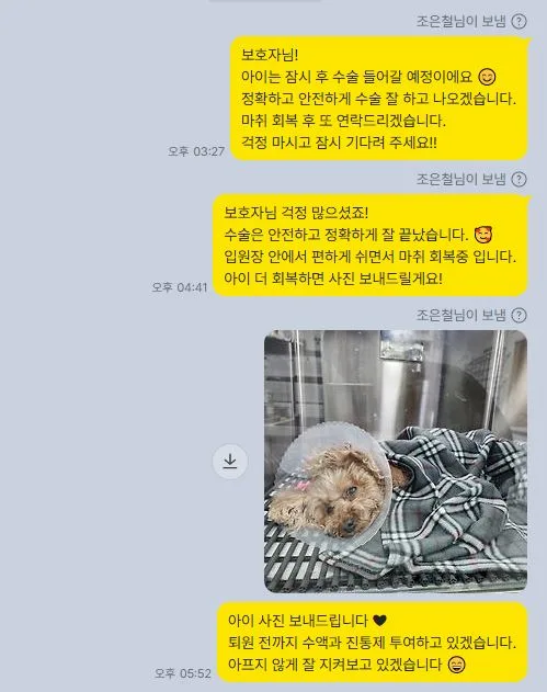 수술 후 보호자에게 회복 상황을 전한 메시지