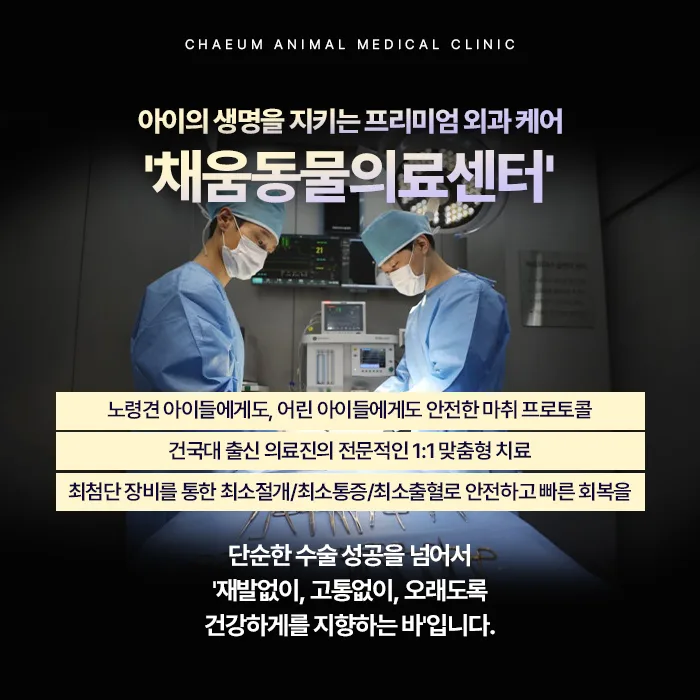 프리미엄 외과 케어 채움동물의료센터 안내