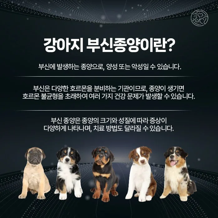 강아지 부신종양 안내