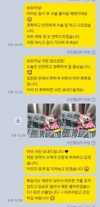 수술 후 보호자에게 회복 상황을 전한 메시지