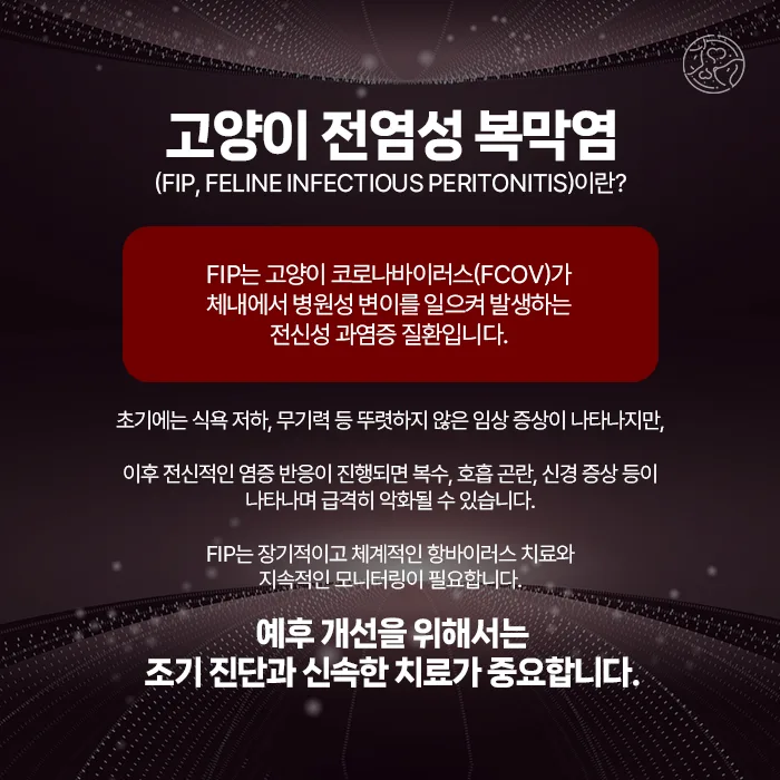 고양이 전염성 복막염(FIP) 안내
