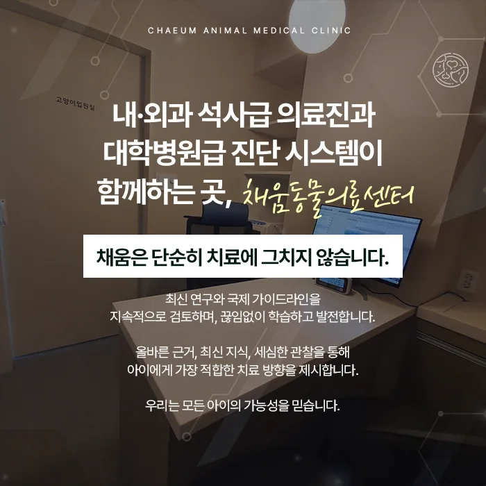 내·외과 의료진과 진단 시스템을 갖춘 채움동물의료센터 안내
