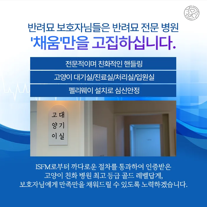 반려묘 전문 병원 채움 안내