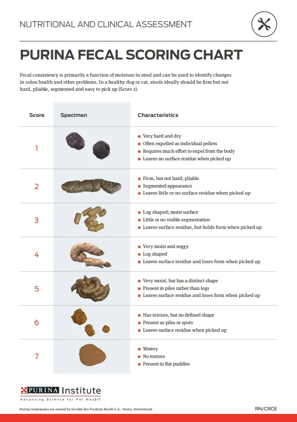 퓨리나 분변 점수표(Fecal Scoring Chart)